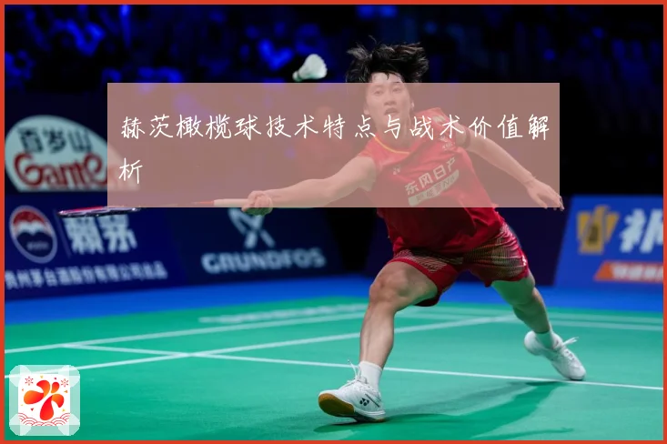 赫茨橄榄球技术特点与战术价值解析