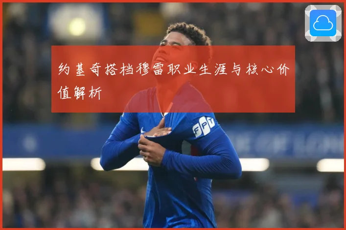 约基奇搭档穆雷职业生涯与核心价值解析